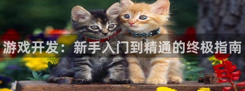 沐鸣2平台代理注册