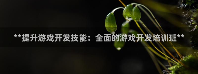 沐鸣2娱乐平台注册