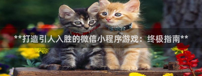 沐鸣娱乐2多彩平台