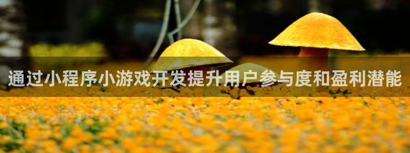 沐鸣娱乐2代理