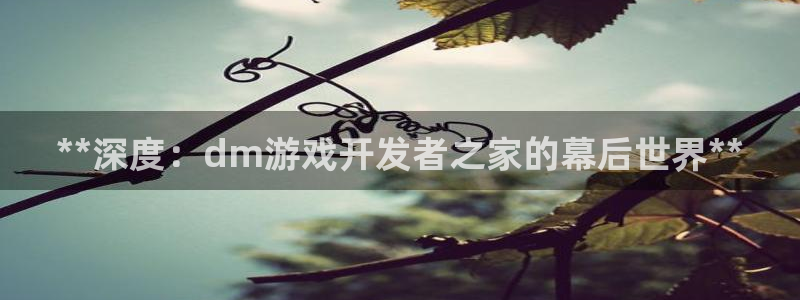 沐鸣277 77注册
