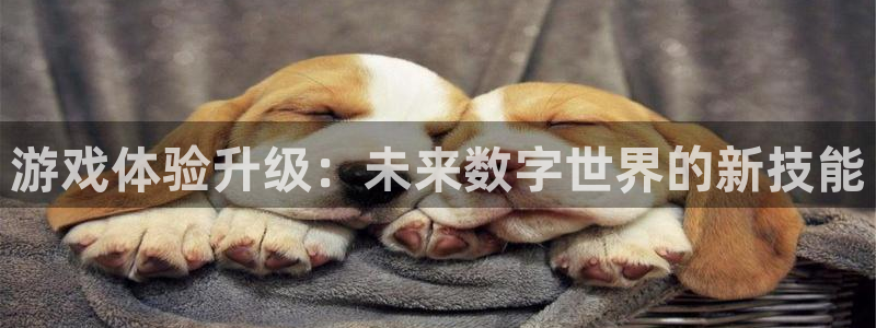 沐鸣娱乐2登录平台是什么：游戏体验升级：未来数字世界的新技能