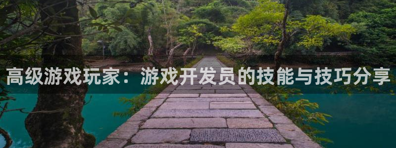 沐鸣娱乐2手机下载官网：高级游戏玩家：游戏开发员的技能与技巧分享
