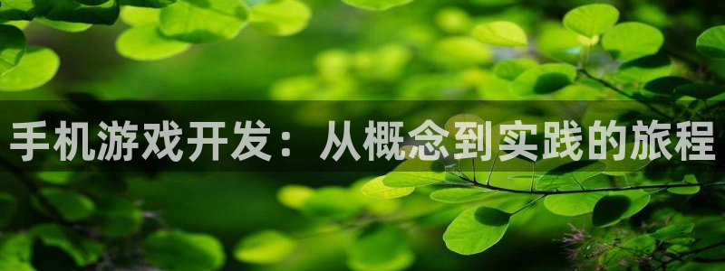 沐鸣娱乐2如何找回密码：手机游戏开发：从概念到实践的旅程