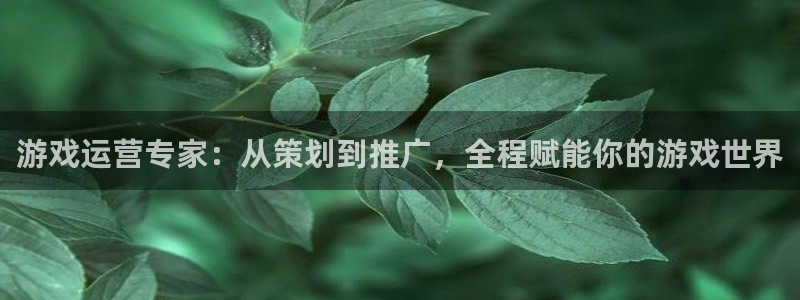 沐鸣娱乐2注册平台：游戏运营专家：从策划到推广，全程赋能你的游戏世界