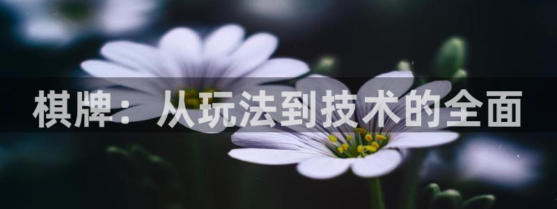 沐鸣娱乐2平台