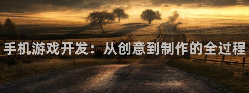 沐鸣2手机网页版：手机游戏开发：从创意到制作的全过程