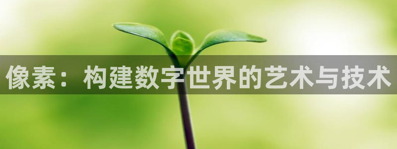 沐鸣娱乐2登录平台官网入口：像素：构建数字世界的艺术与技术