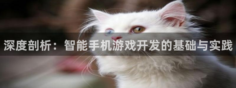 沐鸣娱乐2官方网站：深度剖析：智能手机游戏开发的基础与实践