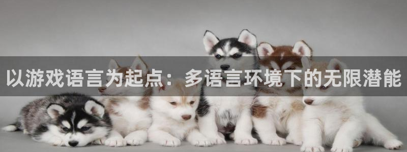 沐鸣娱乐2电脑版