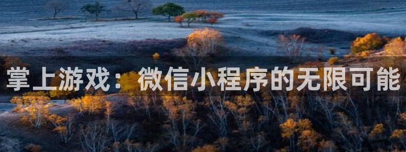 沐鸣2代理官网：掌上游戏：微信小程序的无限可能