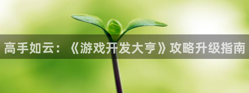 沐鸣娱乐2游戏说明：高手如云：《游戏开发大亨》攻略升级指南