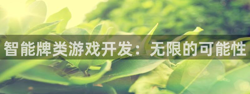 沐鸣2测速登录：智能牌类游戏开发：无限的可能性