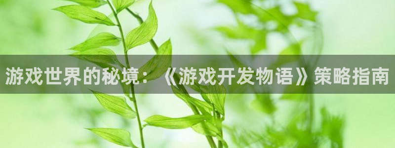 沐鸣娱乐2登陆不上怎么办