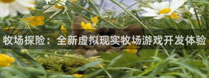 沐鸣2官网 5O6917