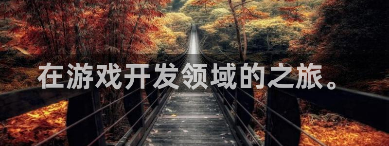 沐鸣2平台登录线路：在游戏开发领域的之旅。