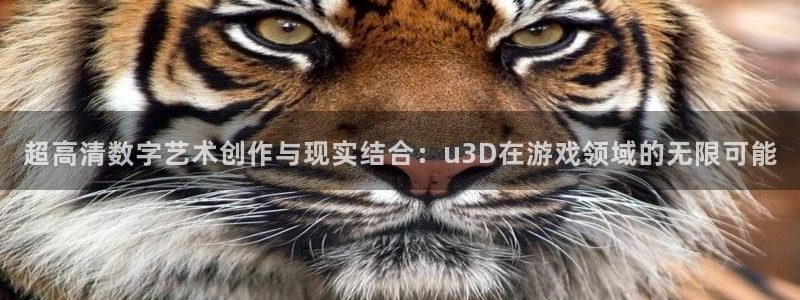 沐鸣娱乐2测速登陆：超高清数字艺术创作与现实结合：u3D在游戏领域的无限可能