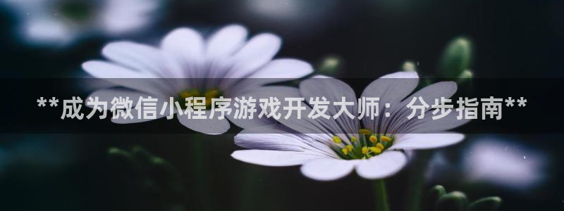 沐鸣娱乐2登录平台是什么软件：**成为微信小程序游戏开发大师：分步指南**