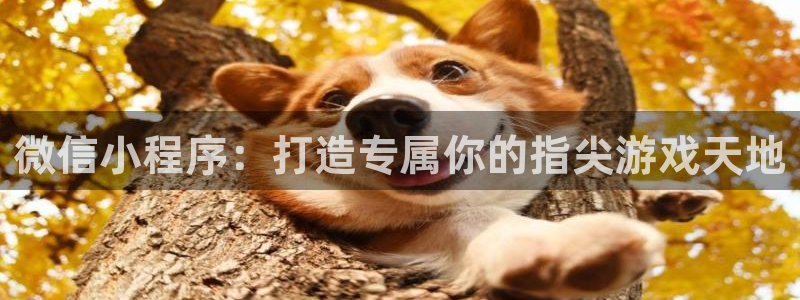 沐鸣2平台在线注册